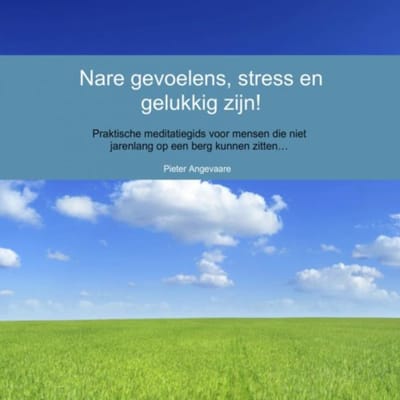 Nare Gevoelens, Stress En Gelukkig Zijn! - Pieter Angevaare