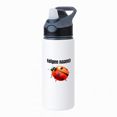 Hacebo® - lieveheersbeestje met eigen naam waterfles met rietje zwart - Lieveheersbeestje - lieveheersbeestje liefhebbers - iemand die houdt van lieveheersbeestjes - verjaardag - cadeau - kado - water fles - 650ML