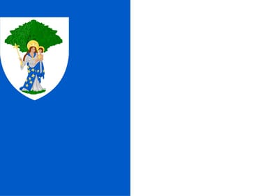 Vlag Boom 200x300cm