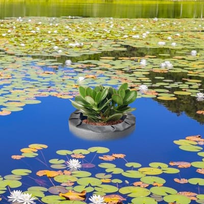 Drijvende Plantenmand - Vijvermand Waterplanten - Vijver Decoratie - Zelfnivellerend Mechanisme - Diameter 18cm