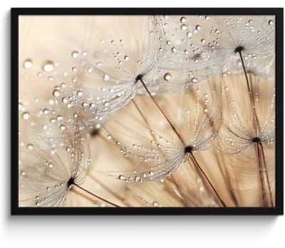 Poster in lijst - Fotolijst 70x50 cm - Posters - Paardenbloem - Abstract - Natuur - Beige - Posterlijst zwart - Decoratie - Wanddecoratie woonkamer - Muurdecoratie slaapkamer