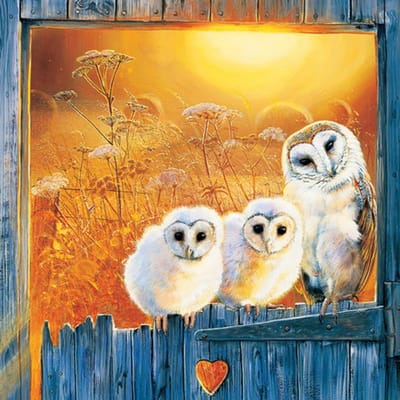 Diamant schilderij kruissteek diamant borduurwerk woondecoratie diamant mozaïek witte uil & zonsondergang 30x30CM yellow