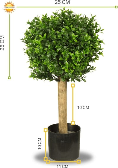 Kleine kunst buxus bol 25 cm UV