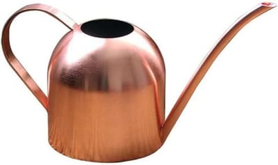 Mini Gieter - Waterfles Spuit - Planten Water Geven - Lange Mondstuk Tuit - 500 ml - Rose Gold