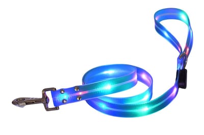 Rieba® Hondenriem Lichtgevend - USB Oplaadbaar - Multicolor LED - 120cm - PVC – Inclusief Oplaadkabel - Hoge Kwaliteit - Zeer Sterk - Lichtgevende Hondenlijn – Looplijn – Riem Hond - Voor Training en Wandelen – Fijn in de Hand - 3 cm Breed – Blauw