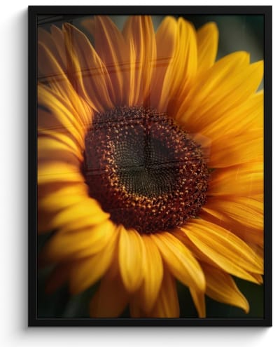 Poster in lijst - Fotolijst 50x70 cm - Posters - Geel - Zonnebloem - Zomers - Posterlijst zwart - Decoratie - Wanddecoratie woonkamer - Muurdecoratie slaapkamer