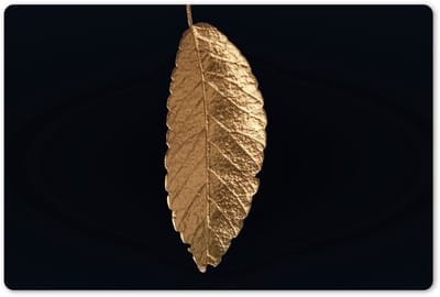 Placemats 45x30 cm - Placemat kunststof - 1 stuk - Bladeren - Zwart - Goud - Luxe - Natuur - Borden onderleggers - Decoratie voor op tafel - Keuken tafeldecoratie accessoires - Vinyl onderlegger - Tafelversiering