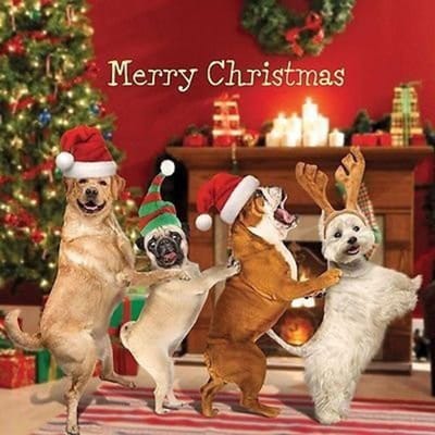 DIY diamant schilderij volledige ronde kerst honden diamant borduurwerk verkoop dieren kruissteek 30x30CM red