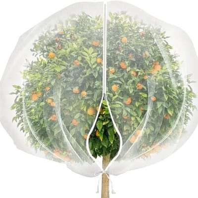 Groot fruitboomnet van 3x3 meter met ritssluiting en trekkoord, transparante insectennet voor in de tuin, vogelwerende plantenbescherming, bloemen- en fruitnet ter bescherming tegen herten, eekhoorns en insecten- 3*3m