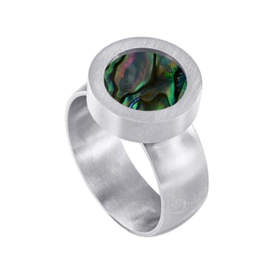 Quiges RVS Schroefsysteem Ring Zilverkleurig Mat 16mm met Verwisselbare 12mm Mini Munt - SLSRS45416