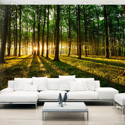 98cm X 70cm - Zelfklevend fotobehang - Mystieke Ochtend, Bos, 8 maten, premium print