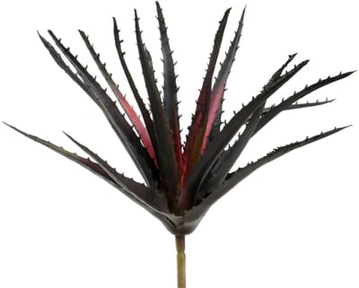 Aloë Vera kunst paars 26cm