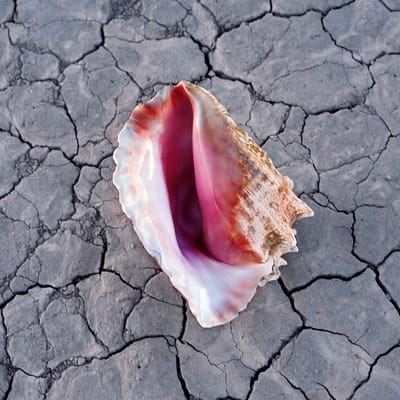 The Killers - Wonderful Wonderful (CD) (Deluxe Edition)