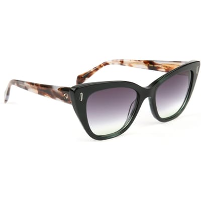 Ana Hickmann Sunglasses AH9437 E01 53