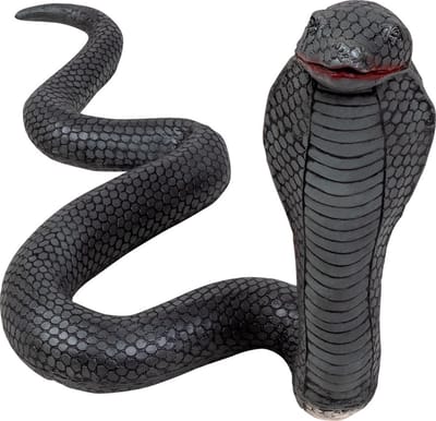 Boland - Latex cobra - Horror - Horror