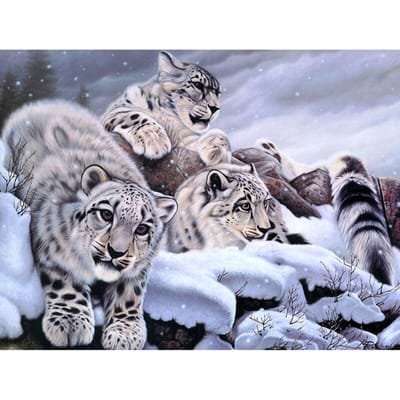 5D DIY diamant borduurwerk sneeuwluipaard familie diamant schilderij kruissteek volledige ronde strass 20X30CM gray