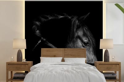 Behang - Fotobehang Paarden - Portret - Zwart - Dieren - Breedte 300 cm x hoogte 300 cm