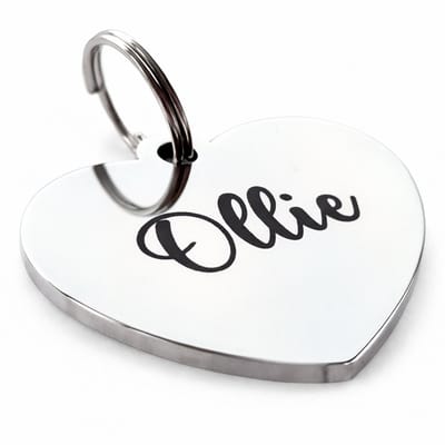 By Ollies dierenpenning hartje zilver - maat M - RVS - wandelen