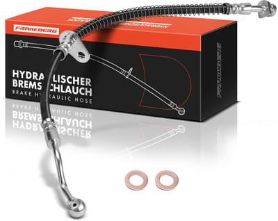 Frankberg 1x remslang voor links voor KIA Picanto TA 2011-2020