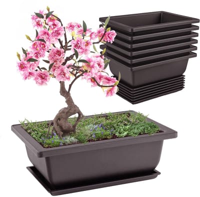 Ibenzoa® Bonsai Groeisets Met Herbruikbare Potten En Trays Voor Binnen En Buiten, 6 Stuks
