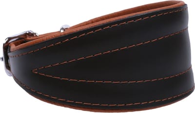 Zwartbruine leren halsband met een dikte van 80 mm op het breedste punt en een lengte van 55 cm.