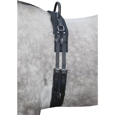 HKM longeersingel met handvat - zwart - pony
