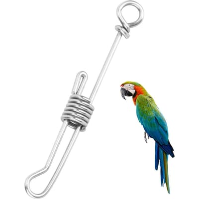 Huisdier Papegaai Vogel Anti Vliegen Training Roestvrij Staal Voetketting Enkelband Ring (Middelgroot) white
