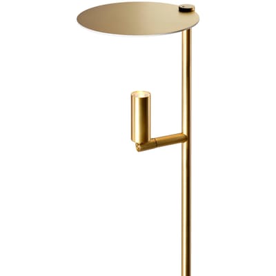 Carpyen LED vloerlamp Kelly, verstelbare spot, goud/goud