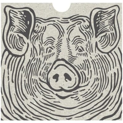 Dierenrijk - Rinske Kegel