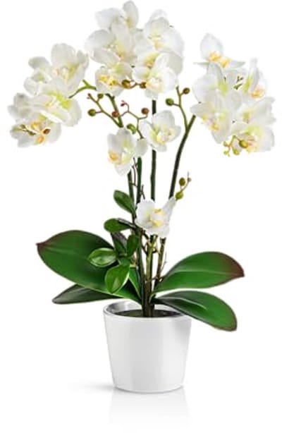 Kunstmatige Orchideeën in Glazen Bloempotten (46cm) - Realistische Kunstbloemen