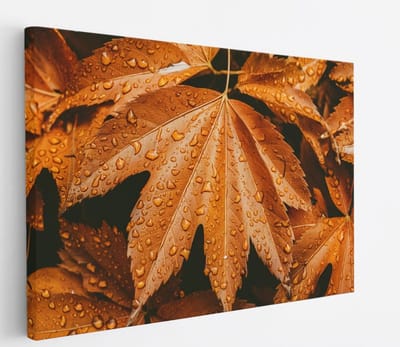 Saammp Canvas Schilderij - Herfstbladeren met Druppels - Natuur - Abstract - 45x30 - Foto op canvas - Wanddecoratie - Muurdecoratie Woonkamer - Kantoor Decoratie