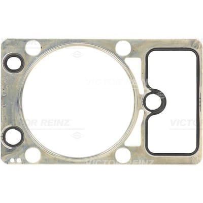 Pakking, cilinderkop REINZ 61-36485-10