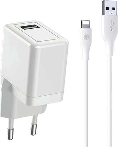 Oplader + Kabel 1 Meter - Geschikt voor Apple iPad - Snellader - 12W