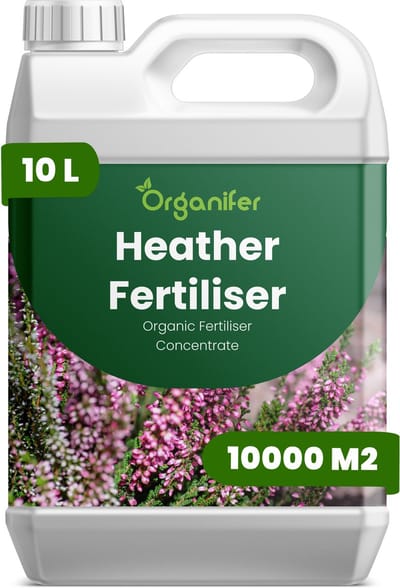 Vloeibare Meststof Voor Heiderplant 10 L Voor 10000 M2 - Npk 2-1-8 - Sterke Groei - Vochtregulatie - Verbetert Bloemrijkheid - Kleurintensiteit En Seizoensbloei - Ondersteunt Een Gezonde Zuurgraad Van De Bodem - Organifer