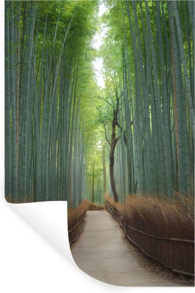 Muurstickers - Sticker Folie - Bamboe - Pad - Bos - 20x30 cm - Plakfolie - Muurstickers Kinderkamer - Zelfklevend Behang - Zelfklevend behangpapier - Stickerfolie