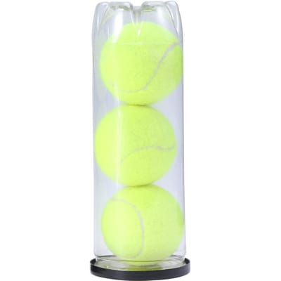 Balles de Tennis en Boîte de Fer Pratique Couvercle Facile à Tirer Usage Régulier Chiens Animaux en Conserve Championnat Collection de Balles de Tennis