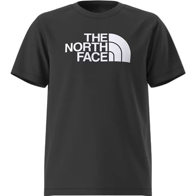 T-shirt kind The North Face Half Dome Evolution
