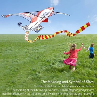 Dailygoods- Vlieger Eenvoudig Vliegend - Vlieger voor Kinderen/Volwassenen - Strandvlieger - Kleurrijke Vechter - 4 Staarten voor Evenwicht - Hoogwaardige Materialen - Kite