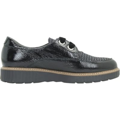 Nette Schoenen Pitillos 11555p Blucher Cordon