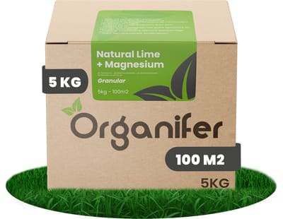 Kalk Korrel meststof verrijkt met magnesium (5Kg - Voor 100m2) voor dieper bladgroen (+PH) Speciaal voor gazon, Perken, Moestuin en openbaar groen - Organifer