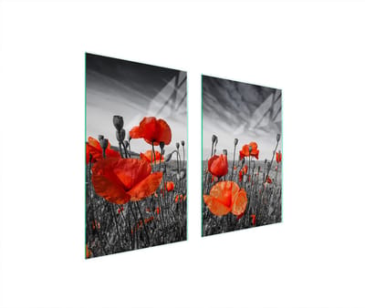 TMK ArtDeko - Maki Motief - Glazen Beschermplaat voor Keuken - 65x52 cm - Gehard Glas