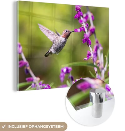 MuchoWow® Glasschilderij 40x30 cm - Schilderij acrylglas - Kolibrie - Vogel - Bloemen - Natuur - Foto op glas - Schilderijen
