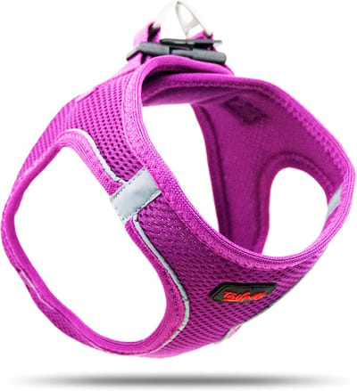 Tailpetz - Air-Mesh Harness - Hondenharnas - Hondentuig - Hondentuigje Kleine Hond - Y Tuig Hond - Harnas Hond - Anti Trek Tuig Hond - Reflecterend - Maat L - Purple