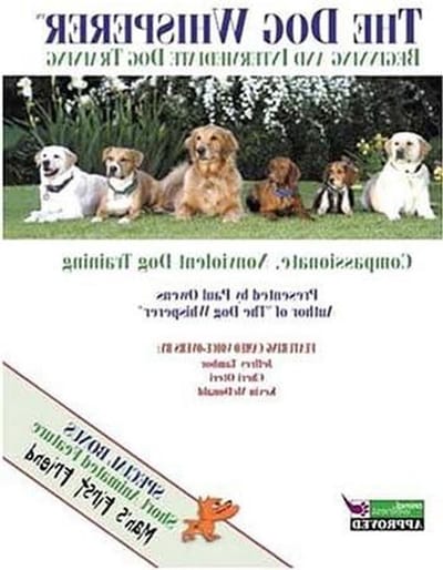 Honden Training - Gedrag Gids - Gedrag Verbeteren - Beginners Gids - 19 x 13 cm - Niet van toepassing