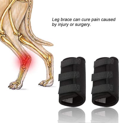 Dailygoods- Fractuurspalk Hond - Gewrichtsherstelverband - Kniebeschermers - Orthopedische Bescherming - Hondenbeenbrace - Hulpstabilisatie
