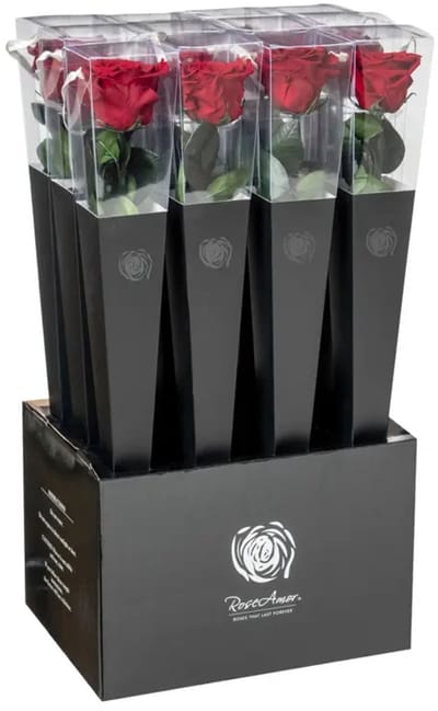 four seasens - eeuwige roos - Rose Amor- Longlife echte rozee roos 50cm - doorzichtige cadeau koker - cadeau - liefde cadeau -