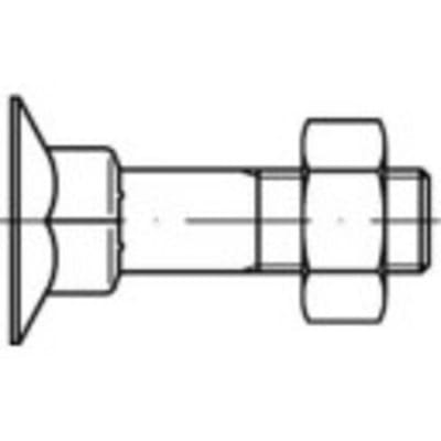 TOOLCRAFT 111747 Verzonken schroeven met vierkante hals M8 60 mm Buitenzeskant DIN 605 Staal 200 stuk(s)