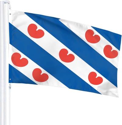 *** Grote Friese Vlag 90x150cm - Vlag Fries - Frysk Pompeblêden - van Heble® ***