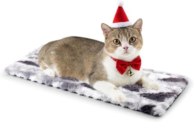 Famanu – Zelfverwarmend vensterbank kattenbed, antislip en wasbare hoes, comfortabel en zacht, grijs