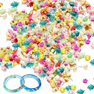 850pcs Mini Gedroogde Bloemen voor Hars, Natuurlijke Kleine Bloemen voor Handwerk, Kleurige Droogbloemen voor Creatieve Projecten